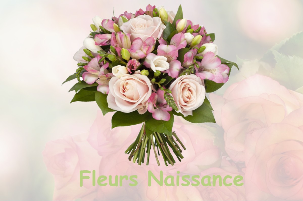 fleurs naissance MENETRU-LE-VIGNOBLE