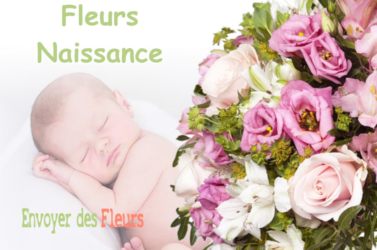 lIVRAISON FLEURS NAISSANCE à MENETRU-LE-VIGNOBLE